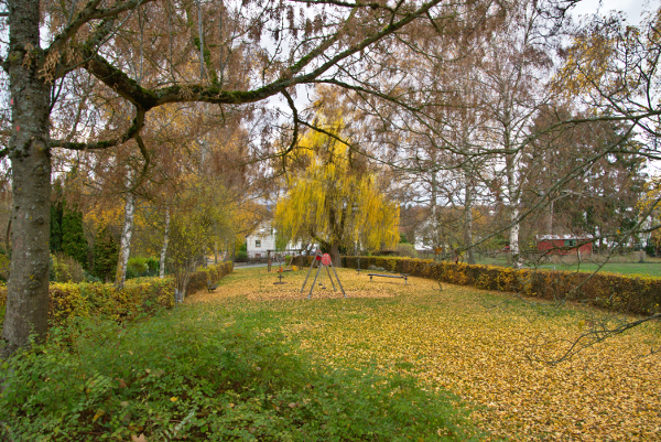 Bild_10