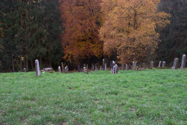 Bild_12