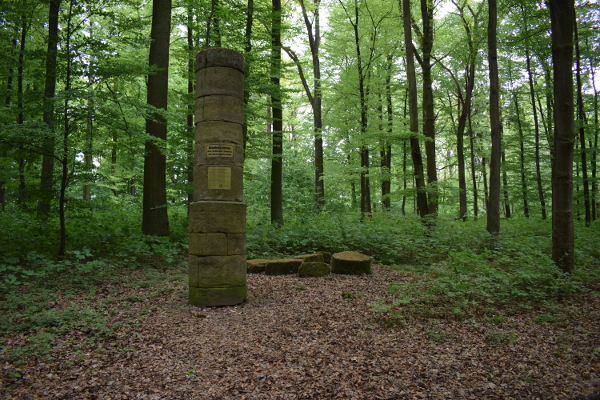 Bild_14