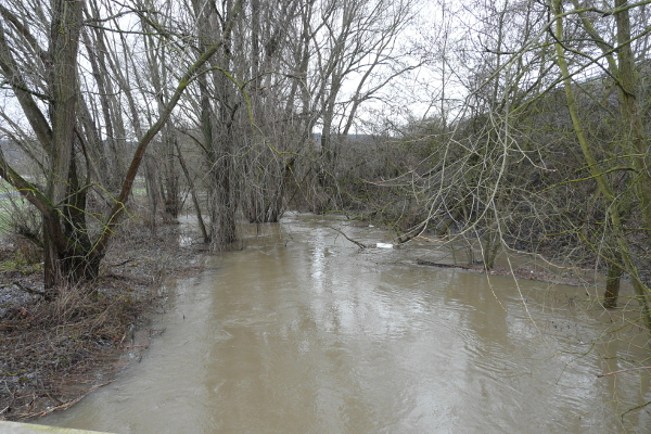 Bild_2
