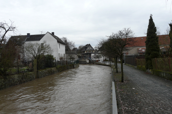 Bild_22